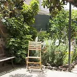 Di Basilia