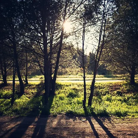 Appartement Di Basilia